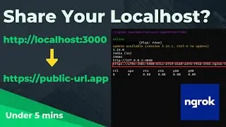 Share your Localhost? | Install NGROK | Windows 11/10 | 2024