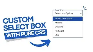 ✅Custom Select Box Using HTML, CSS And JAVASCRIPT