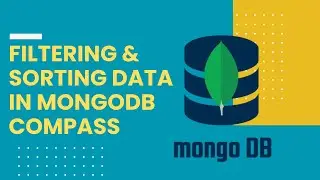 Filtering Data & Sorting Data in MongoDB Compass