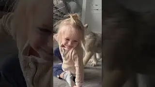 Когда ты брезглива, а волки тебя всю облизали⚠️😁