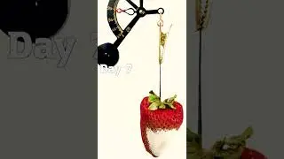 Strawberry losing water