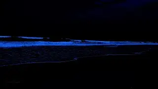 Fall Asleep in Under 5 MINUTES ★︎ Ocean Waves for Deep Sleep ★︎ White Noise Stress Relief