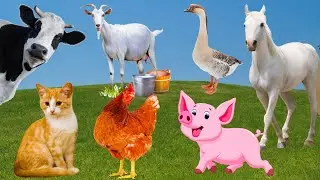 Interesting animals: dog, duck, cow, horse, seahorse, hippo - animal sounds