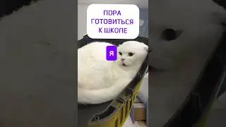 Готовность к школе? #егэ #юмор #мем #школково #школа