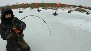 Оставил жерлицы! И уехал ловить на балансир! Когда вернулся.. Был в Шоке! Рыбалка 2024