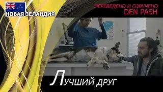 Лучший друг. Новая Зеландия