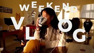 MICHIGAN WEEKEND VLOG new fitness interests and career talk | TWENTIES DIARIES