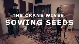 The Crane Wives - Sowing Seeds | NPR Tiny Desk Contest 2019