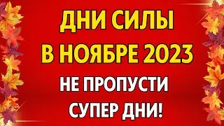 7 ДНЕЙ СИЛЫ в ноябре 2023. Используй для работы и добрых дел!