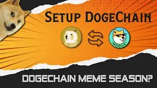 DogeChain Beginner's Guide | Bridge | Add WDOGE To MetaMask | 100x Plays On DogeChain Daily