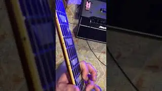 Close Up KYOTO SOLO 