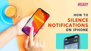 How to Silence Notifications on iPhone 2024 [Step-by-Step Guide]