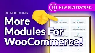 Divi Feature Update LIVE - WooCommerce Cart & Checkout Customization