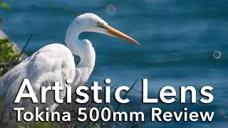 Artistic 500mm Tokina Lens Review