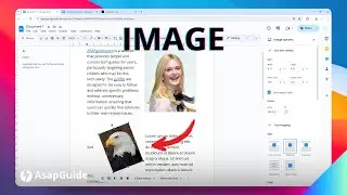 How to Crop, Rotate, and Adjust Images in Google Docs