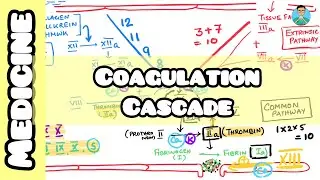 Mastering Coagulation Cascade: Intrinsic vs Extrinsic Pathways made simple #inicet #neetpg #usmle