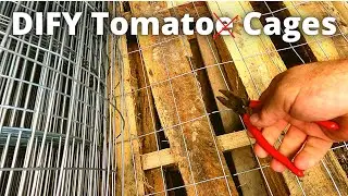 DIFY Build Your Own Tomato Cages | half the cost twice the size DIY