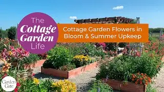 The Cottage Garden Life | Bochner Farms | 🌸 Summer Flower Garden Tour + Care Tips #summergardening