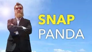 SNAP PANDA