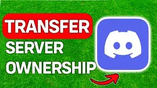 How To Transfer Ownership Of All Servers That You Own On Discord