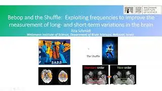BrainMap: Exploiting frequencies to improve the measurement of variations in the brain