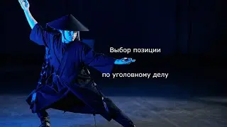 Выбор позиции  по уголовному делу