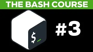 The Bash Course: Files and Directories! Lecture #3