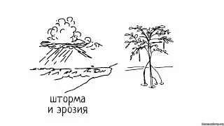 Ценность и значение биоразнообразия (часть 1) | Биоразнообразие