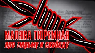МАЛЯВА ТЮРЕМНАЯ | Песни про тюрьму и свободу | Блатные песни 