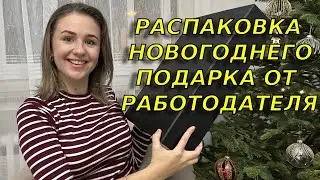 Что мне подарили в немецкой фирме на Новый год