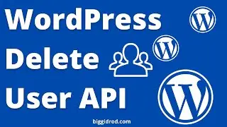 Simple WordPress Delete User API