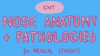 ENT - Nose Anatomy + Pathologies for Medical Students