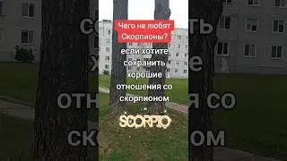 Чего не любят Скорпионы?
