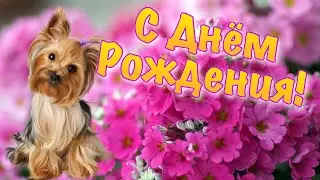 Поздравление с днём рождения 💐 Зажигательная песня С днём рождения! С днём рождения подругу