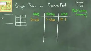 Single Row vs. Square Foot Lesson 5/5