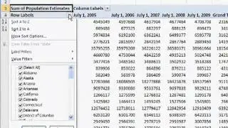 Create a Pivot Table