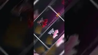 Нейросеть создала скины