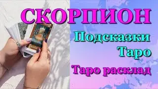 СКОРПИОН - ПОДСКАЗКИ ТАРО / ЗАДАЙТЕ ВОПРОС - ОТВЕТ ТАРО / ТАРО РАСКЛАД / ПРОГНОЗ / ГОРОСКОП ГАДАНИЕ