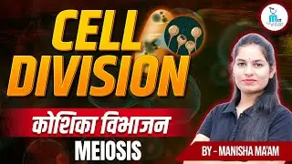 Cell Division Part- 3 | Meiosis | अर्धसूत्री विभाजन | Anatomy & Physiology by Manisha Ma'am