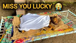 Aaj hamara DOG hame chodke chala gaya 😞