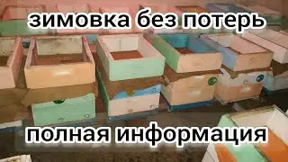 ВСЕ О ЗИМОВКЕ ПЧЕЛ В ПОМЕЩЕНИИ, САРАЕ, ПОГРЕБЕ. BEEKEEPING. BEE. ПЧЕЛОВОДСТВО. Восьмирамочник.
