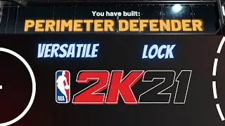 BEST PERIMETER DEFENDER on NBA 2K21! BEST POWER FORWARD 2K21!