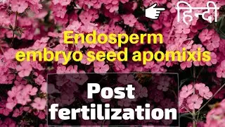 Endosperm | Embryo | Seed | Apomixis and polyembryony |  class 12 | In Hindi | Be Educated