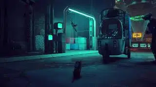 Stray 1
