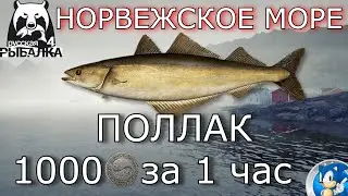🌟НОРВЕЖСКОЕ МОРЕ🌟1000 СЕРЫ ЗА 1 ЧАС И 900к ОПЫТА🌟Русская Рыбалка 4(РР4)🌟