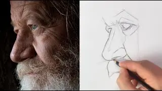 How to Draw Facial Features (Shapes & Lines)