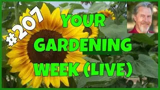 Controlling Insects in the Garden (Q&A)