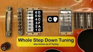 The Best Online Guitar Tuner - Whole Step Down / D Standard Tuning (D G C F A D) w/ Ryan Roxie