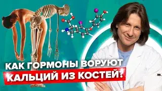 Почему кости теряют кальций? Причины остеопороза: как гормональный сбой влияет на здоровье костей