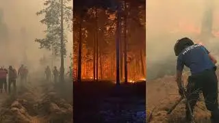 Пожар в марийских лесах: нужны ли добровольцы и что известно сейчас?